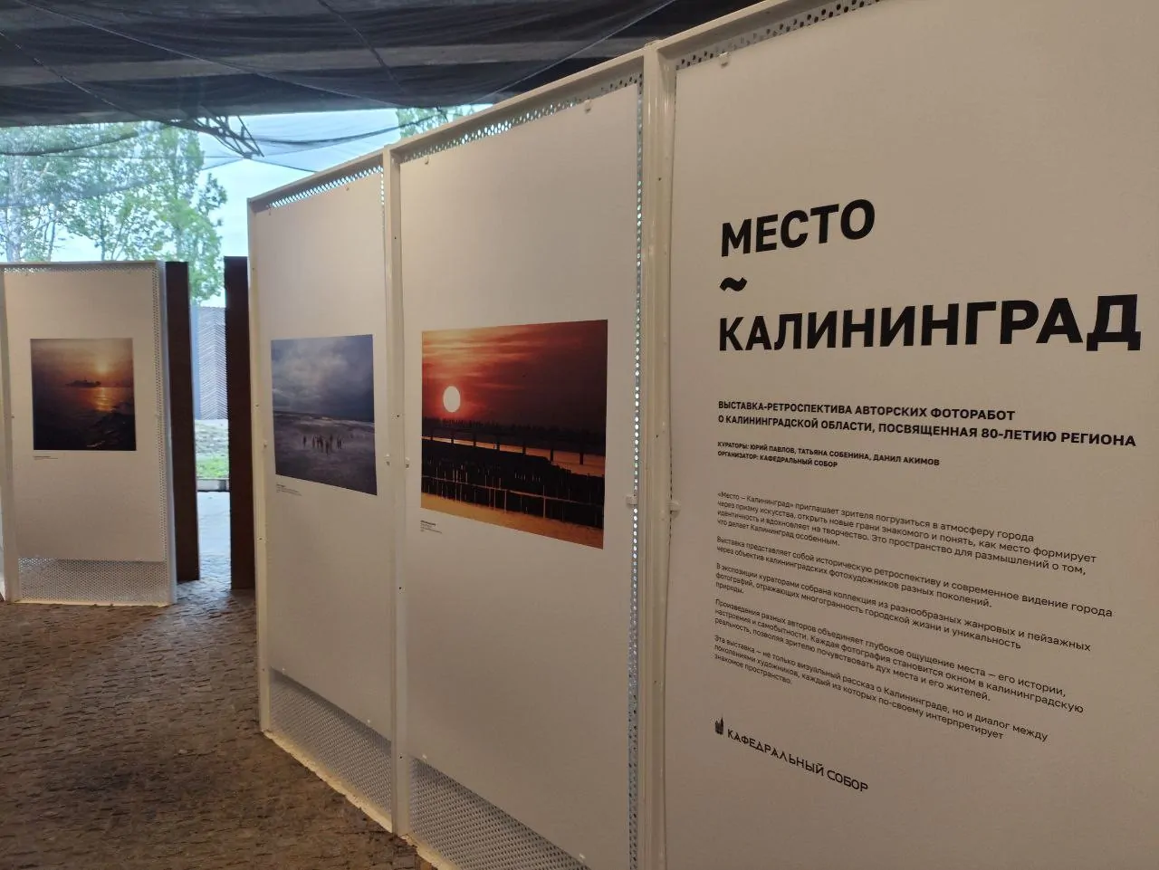 Выставка «Место — Калининград» Остров канта